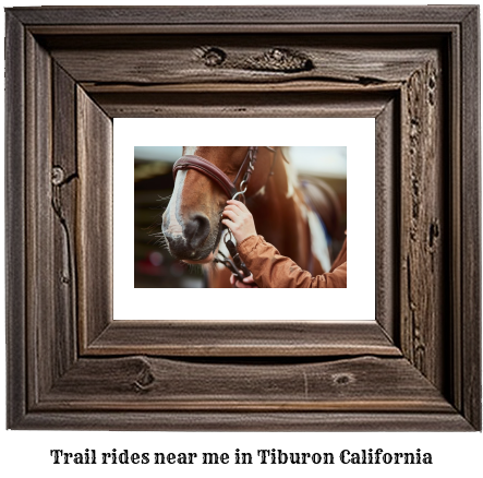 trail rides near me in Tiburon, California